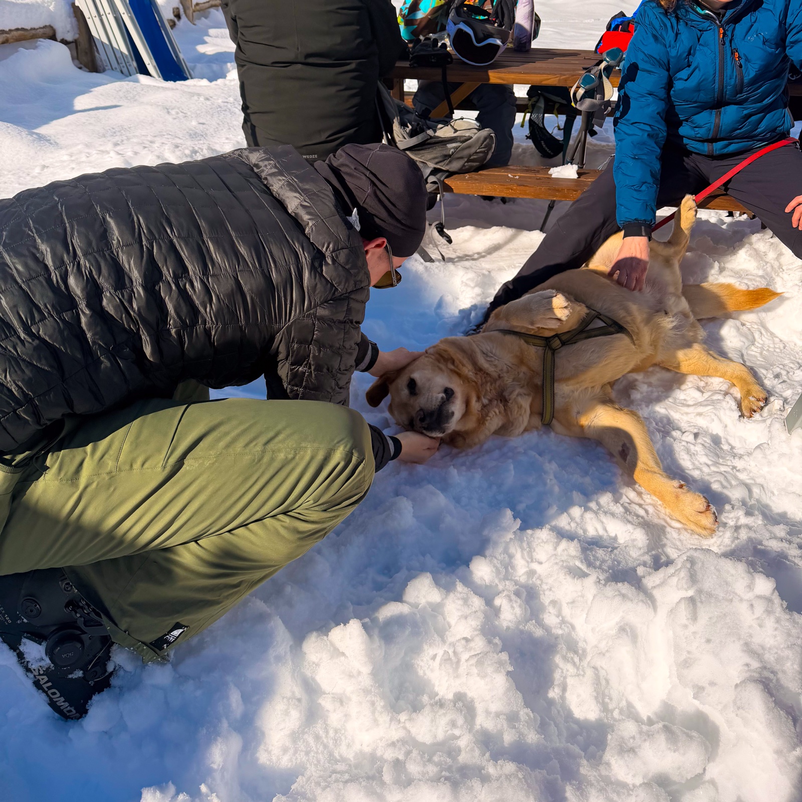Aosta Valley - Alpine landscape